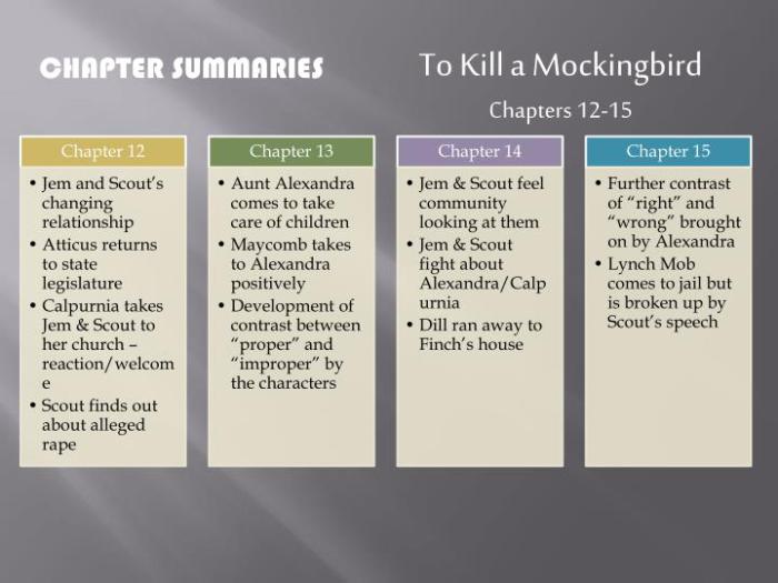 Chapter 20 to kill a mockingbird summary