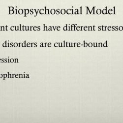 In some cultures depression and schizophrenia are nonexistent