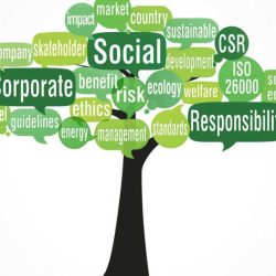 Responsibility social corporate csr environment boon bane ipleaders tree ly bit source