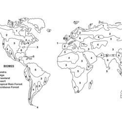 Color the north american biomes worksheet answer key