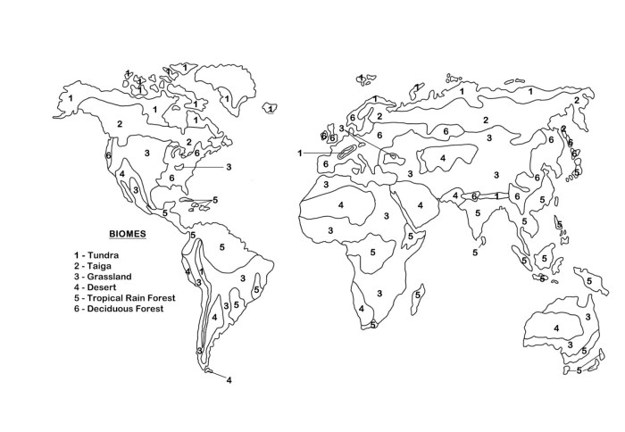 Color the north american biomes worksheet answer key